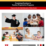 Promising Practices in Special Education Teacher Preparation