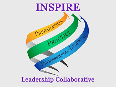 INSPIRE 2017 Leader in Practice Survey Results